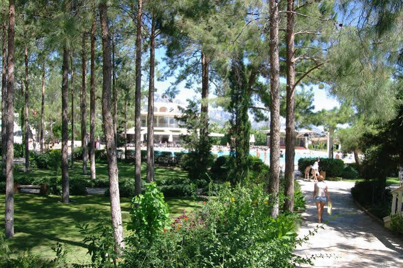 Club Zigana Hotel Beldibi  Exteriör bild